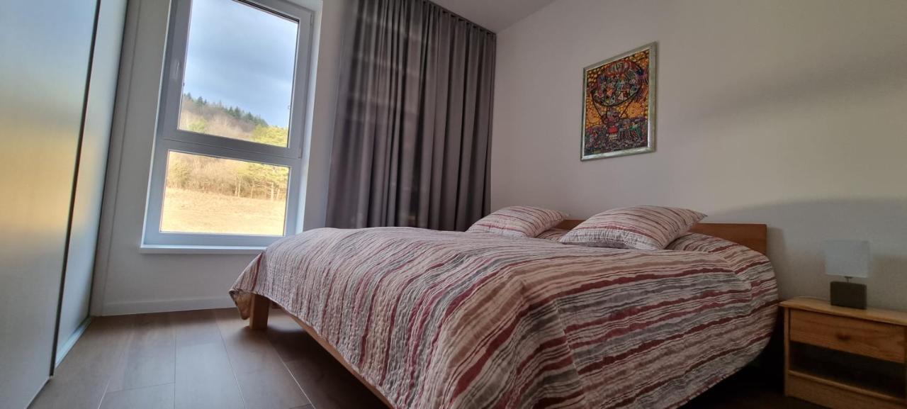 Penthouse Apartman Mineral B-4 บาร์เดโยว์สเค คูเปเล ภายนอก รูปภาพ